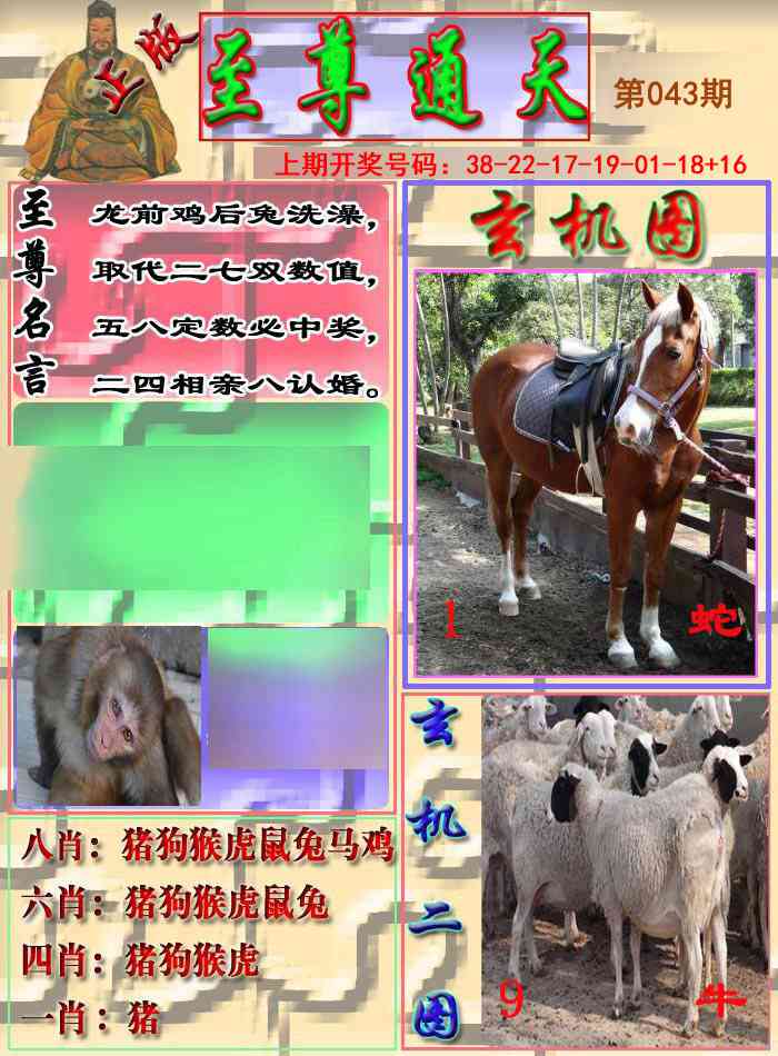 043期至通报[图]