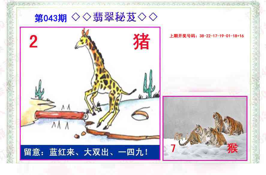 043期翡翠报[图]