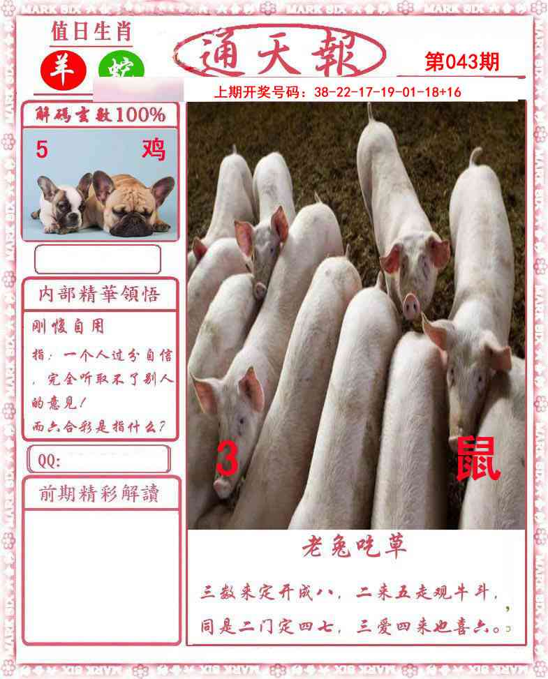 043期正版通天报[图]