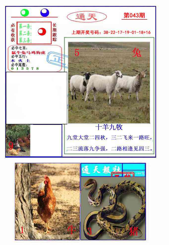 043期通天杀波图2[图]