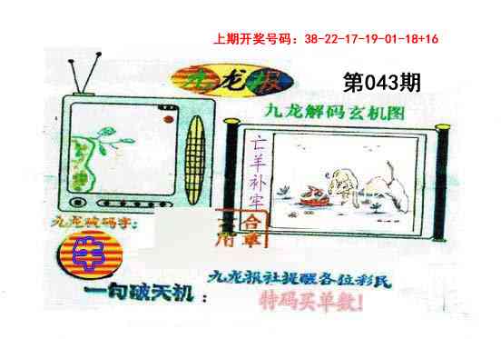 043期九龙报[图]
