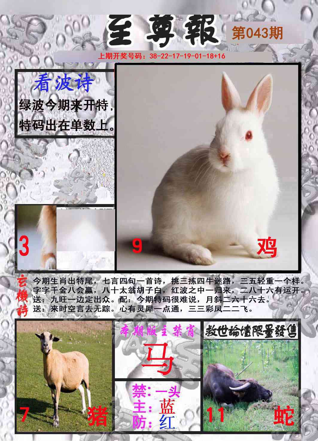 043期至尊报[图]