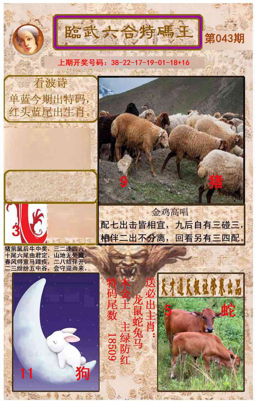043期临武六合特码王[图]
