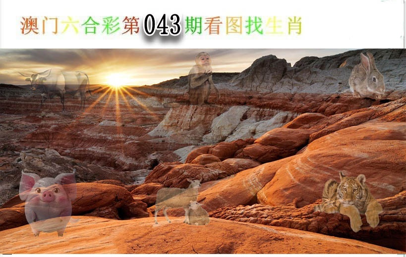 043期看图找生肖[图]