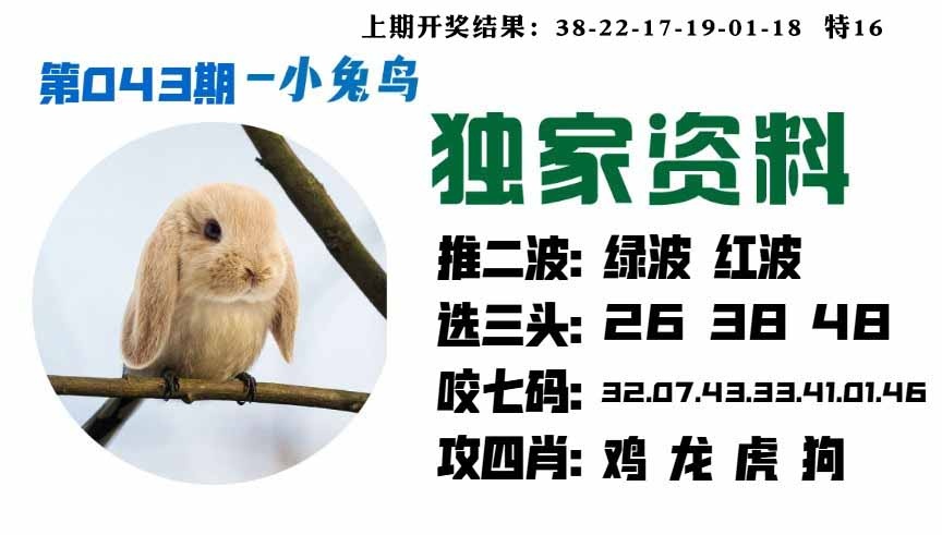 043期小兔鸟[图]